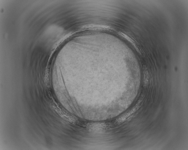 X0000062131074200601060851