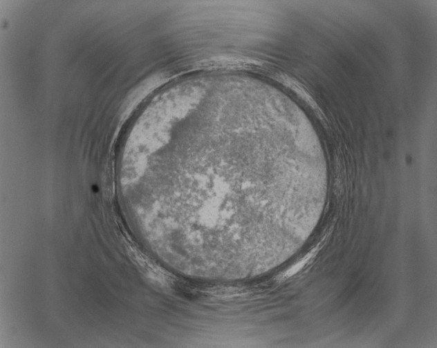 X0000062131075200601060851