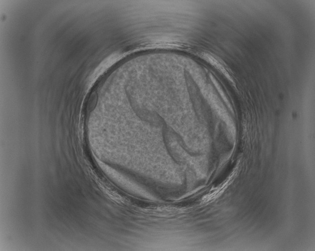 X0000062131077200601060851