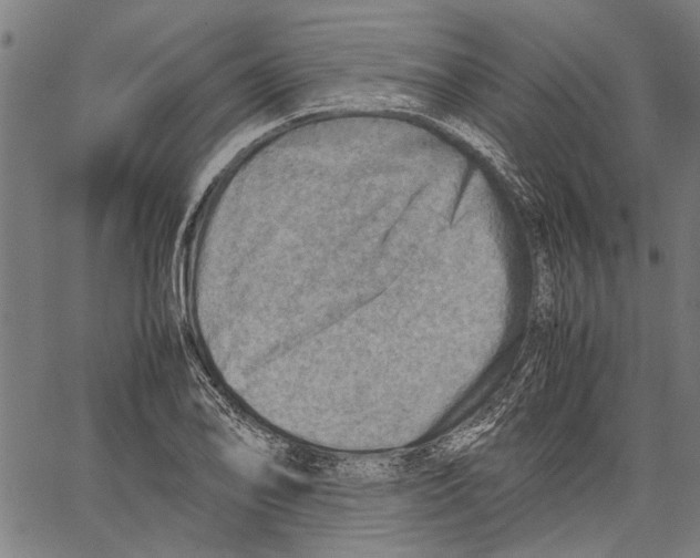 X0000062131078200601060851