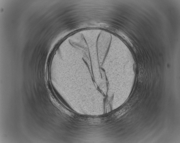 X0000062131080200601060851