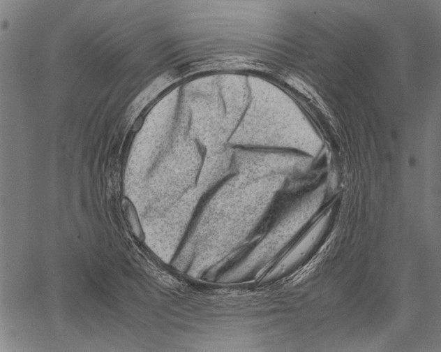 X0000062131081200601060851