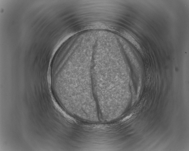 X0000062131084200601060851