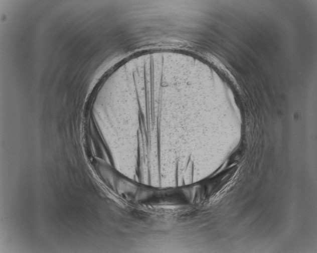 X0000062131085200601060851