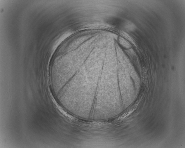 X0000062131087200601060851