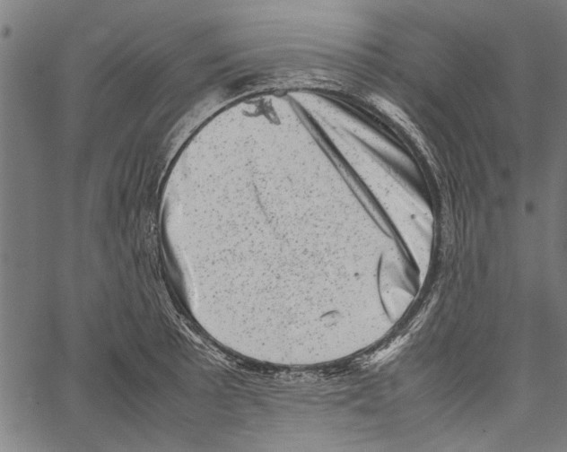 X0000062131089200601060851