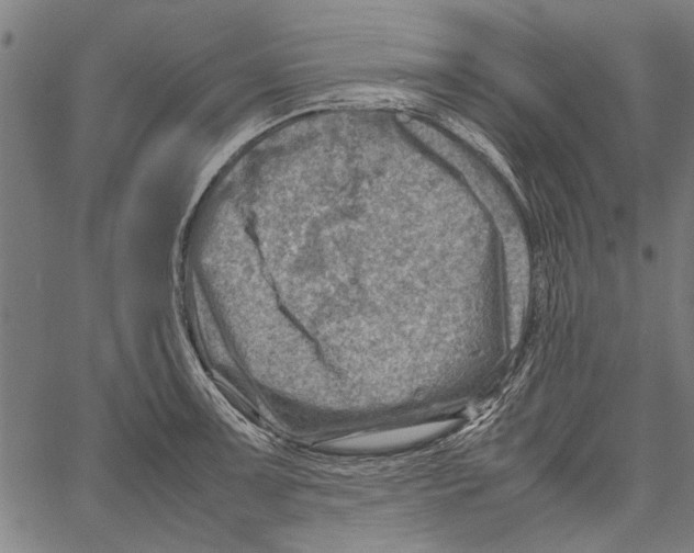 X0000062131091200601060851