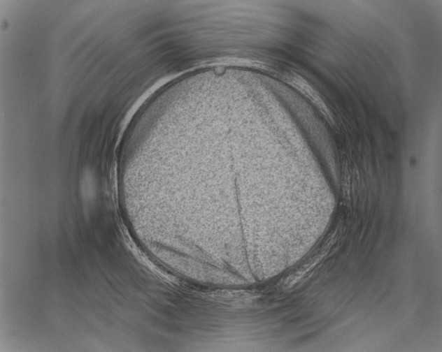 X0000062131092200601060851