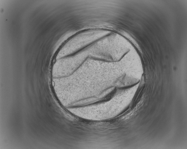 X0000062131093200601060851