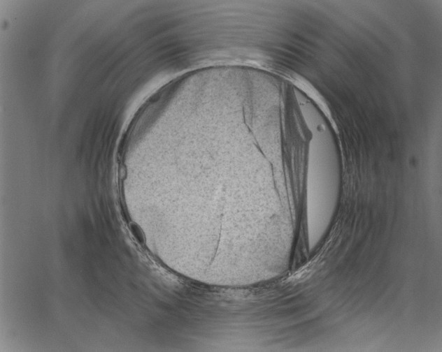 X0000062131096200601060851