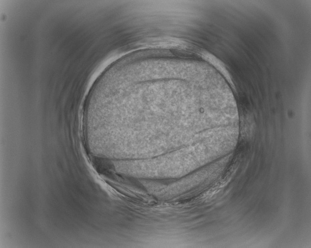 X0000062131099200601060851