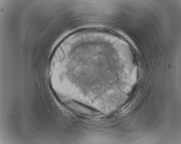 X0000062131101200601060851