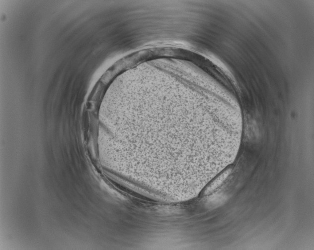 X0000062131102200601060851