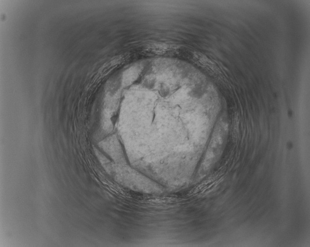 X0000062131105200601060850