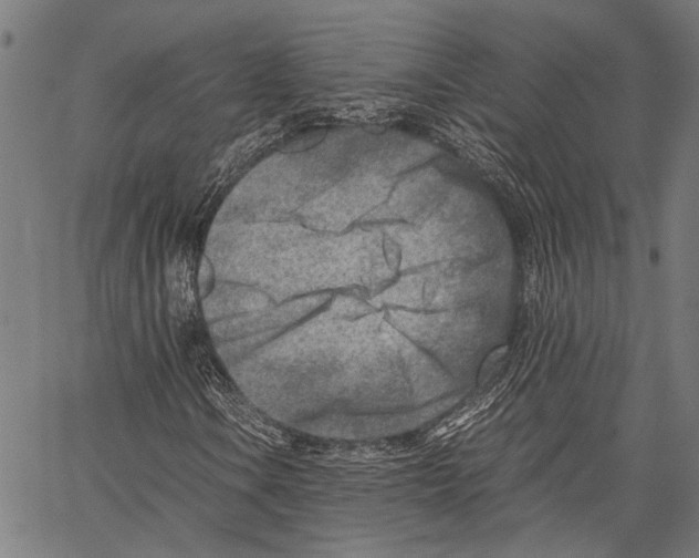 X0000062131106200601060850