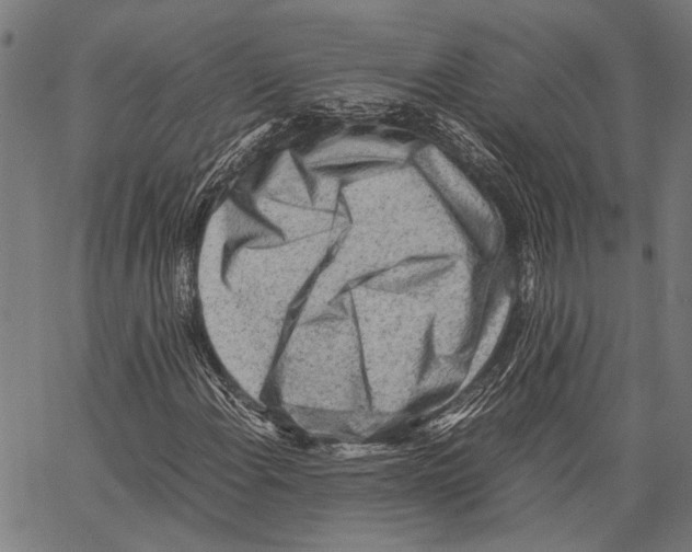 X0000062131108200601060850