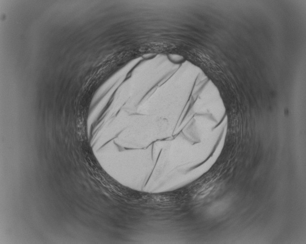 X0000062131109200601060850