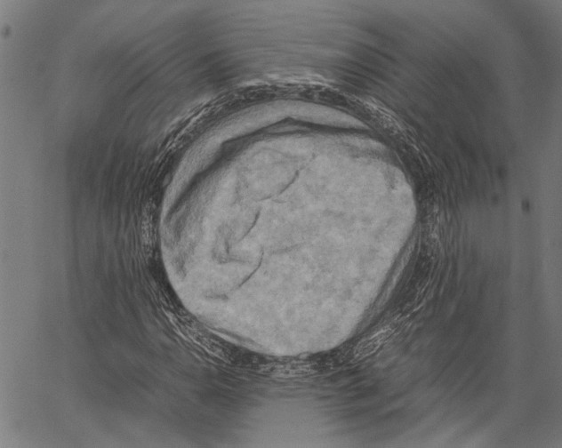 X0000062131110200601060850