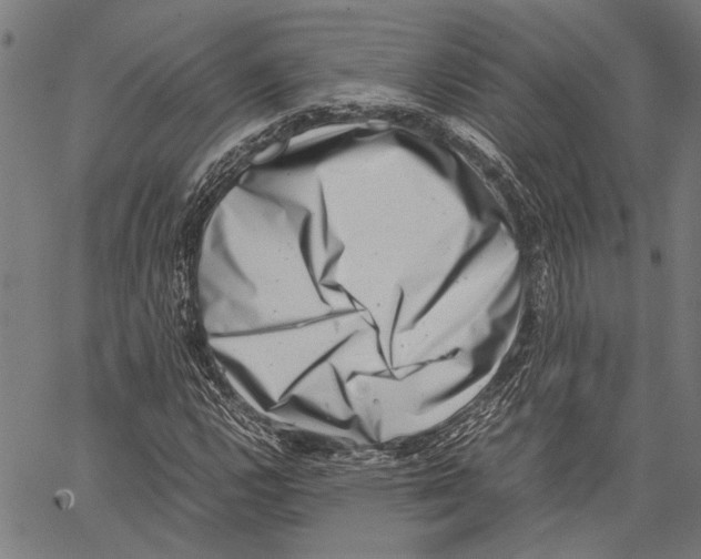 X0000062131112200601060850