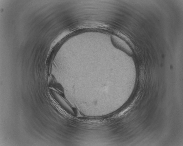 X0000062131114200601060850