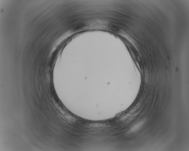 X0000062131115200601060850