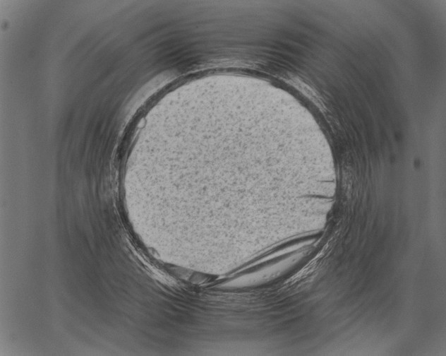 X0000062131119200601060850