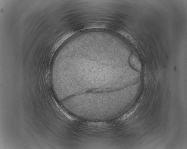 X0000062131121200601060850