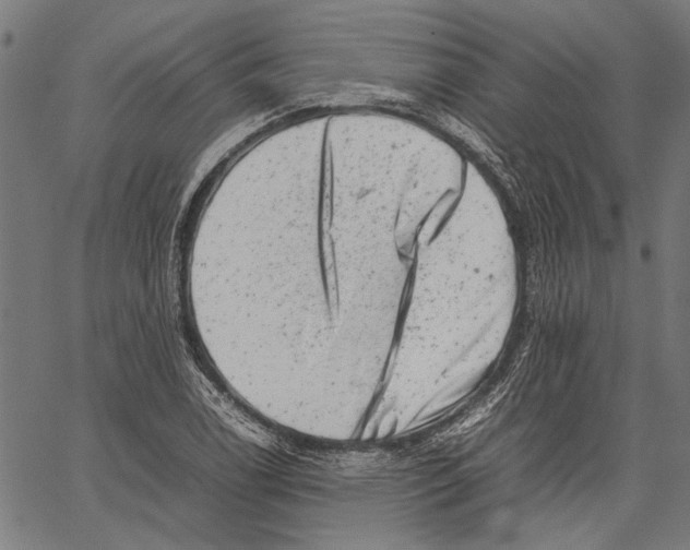 X0000062131122200601060850