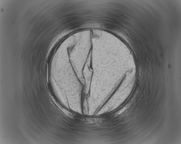 X0000062131123200601060850