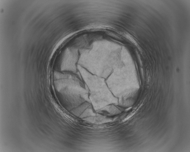 X0000062131124200601060850