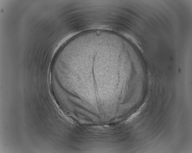 X0000062131125200601060850