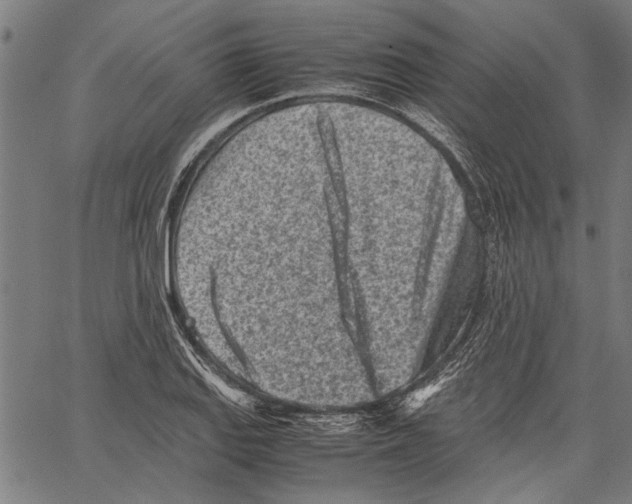 X0000062131127200601060850