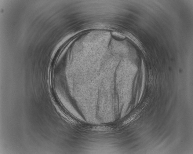 X0000062131128200601060850