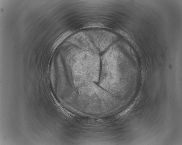 X0000062131129200601060850