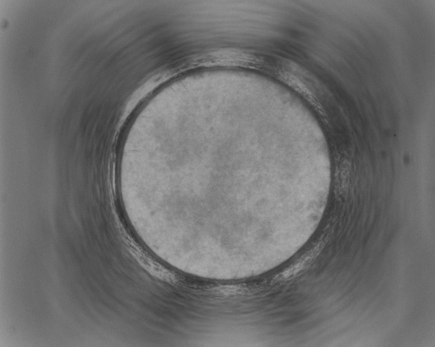 X0000062131130200601060850