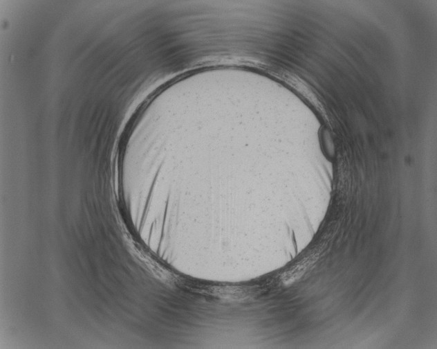 X0000062131132200601060850