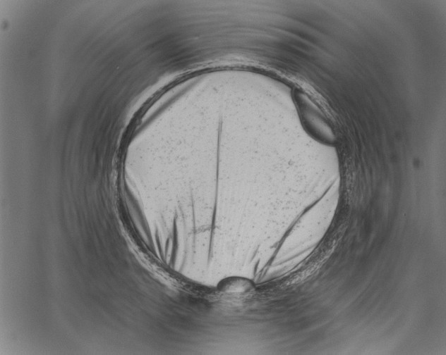 X0000062131134200601060850