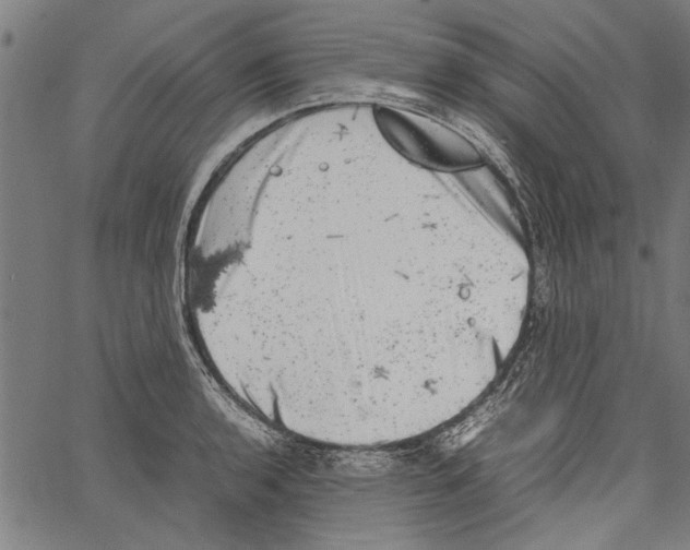 X0000062131136200601060851