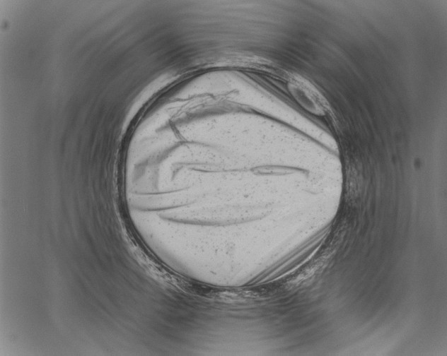 X0000062131138200601060851