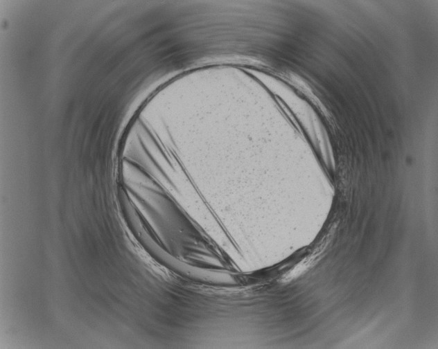 X0000062131140200601060851