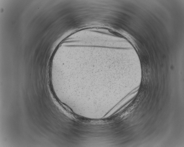 X0000062131142200601060851