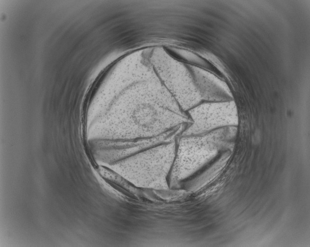 X0000062131143200601060851