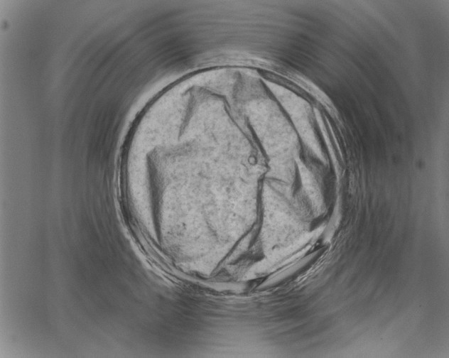 X0000062131144200601060851