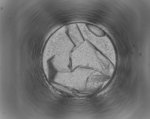 X0000062131145200601060851