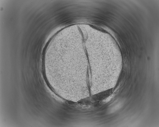 X0000062131147200601060851