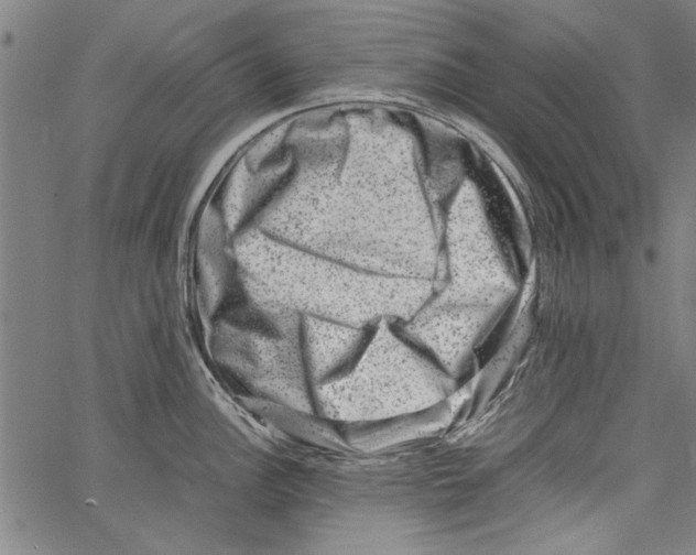 X0000062131148200601060851