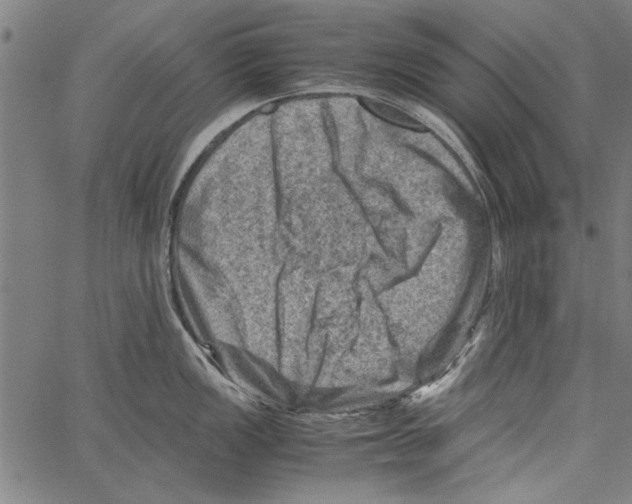 X0000062131149200601060851