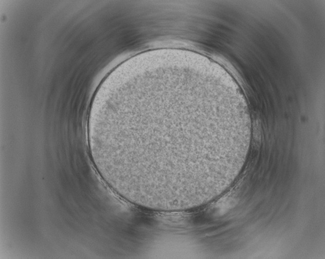 X0000062131150200601060851