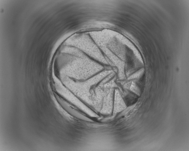 X0000062131152200601060851