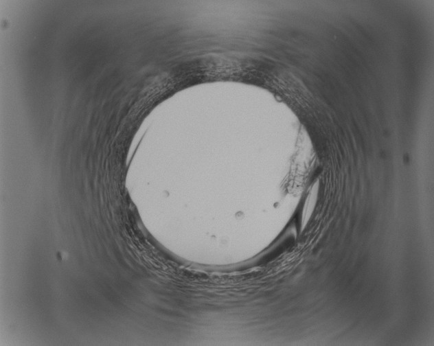 X0000062131153200601060850